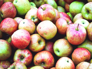 A bunch of delicious Stayman Winesap apples