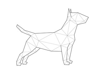 Low poly illustrations of dogs. Bull Terrier standing.