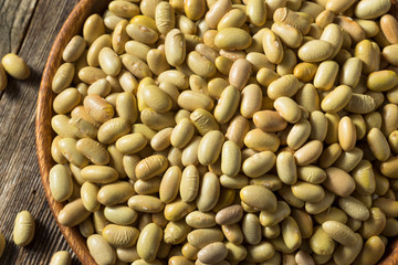 Raw Yellow Organic Perruano Beans