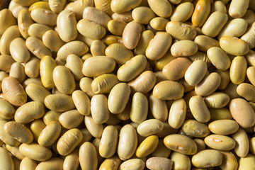 Raw Yellow Organic Perruano Beans