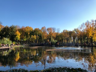 autumn landscape with lake and trees