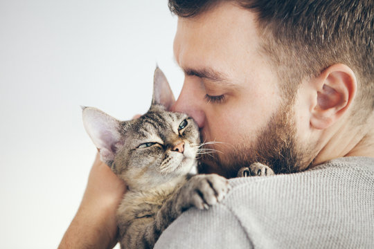 Sharing affection with cat. Cat and man, portrait of happy cat with closed eyes and beard man. Handsome young guy is hugging, kissing and cuddling his tabby Devon Rex feline. Domestic pets concept