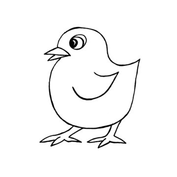 Vector image. Close-up little chicken on an isolated white background. Design for greeting card, baby clothes, coloring.