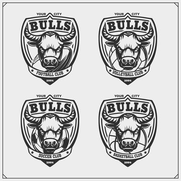 Volleyball, baseball, soccer and football logos and labels. Sport club emblems with bull. Print design for t-shirt.