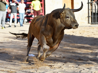 toro español