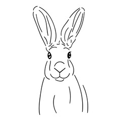 Cute rabbit, (hare) simple black line isolated on white background, stock vector illustration for design and decoration, easter theme