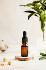 Skin care. Moisturizing serum on a wooden stand, next to nuts, in the background a bulb with a green plant.