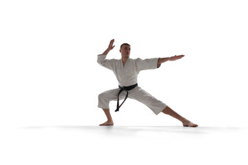 Karate fighters isolated on white.