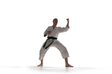 Karate fighters isolated on white.