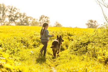 beautiful little girl with a german shepherd playing on the lawn at the day time