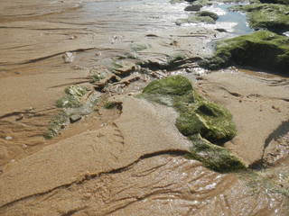 am Strand