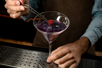 Male bartender decorated purple alcoholic cocktail with a red flower by tweezers