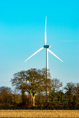 éolienne dans un champ en vendée france