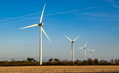 éolienne dans un champ en vendée france