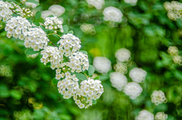 Little boy hugs his mother tightly hugging. Son hugging his mother. Family concept
