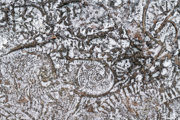 Frozen ground winter texture. Ice and snow on.