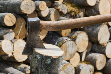 Hatchet or axe for chopping wood logs is ready for cutting timber. Close-up of axe in front of logs...