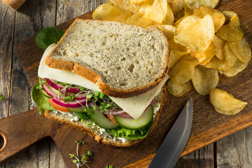 Healthy Organic Veggie Garden Sandwich