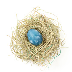 Aquamarine easter egg in hay nest on white background