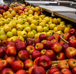 fruits and vegetables