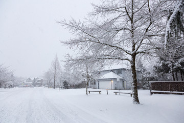 Residential Neighborhood in the Suburbs during a White Snow Storm and roads covered in snow. Taken in Fraser Heights, Surrey, Vancouver, BC, Canada.