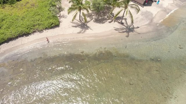 Drone B Roll in Hawaii looking at the ocean checking out the sea turtles