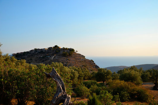 A trunk of a dried tree and a view of a mountain village, Upper Qeparo, Albania.