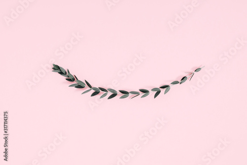 Minimal composition of eucalyptus. Pattern made of eucalyptus branches, leaves on pastel pink background. Valentines Day, Easter, Happy Women's Day, Mother's day. Flat lay, top view, copy space