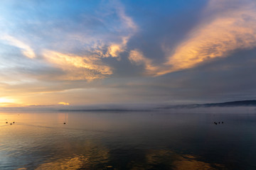 Sonnenaufgang im Frühjahr am schönen Bodensee mit Enten im Wasser 