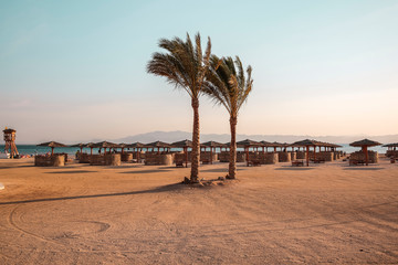 Fototapeta premium Background of beach with palms and summer time. 