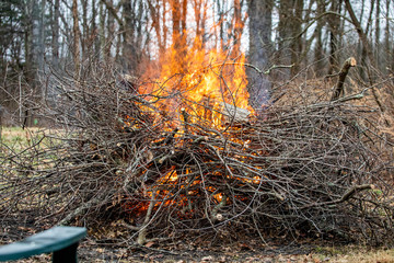 Cleaning up backyard from trash wood and leafs