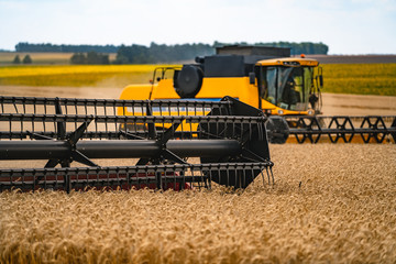 Fototapeta na wymiar Grain harvesting equipment in the field. Harvest time. Agricultural sector