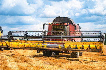 Combine harvester stands on cereal field