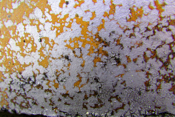 Abstract colorful cement wall texture and background