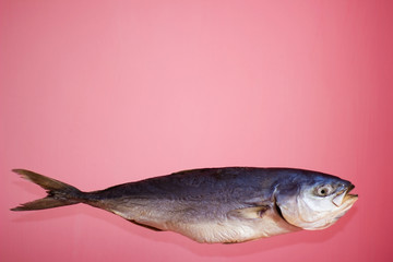 Tuna fish on a pink background, salted dried - isolate