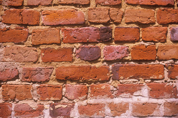 Old Brick Wall, Charleston, South Carolina