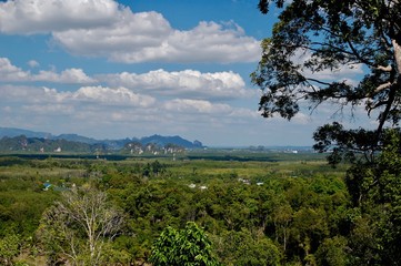 Fototapeta na wymiar landscape with trees and blue sky krabi thailand