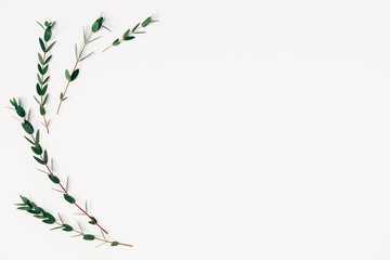 Minimal composition of eucalyptus. Eucalyptus branches, leaves on white background. Valentines Day,...
