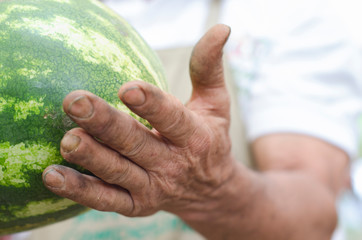 Peasant working hands in the mountains of Colombia
