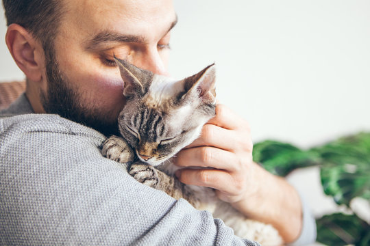 Man is kissing and cuddling sweet and cute looking Devon Rex cat. Kitten feels happy with owner.  Purring cuddly kitty.  Breed with hypoallergenic fur, no shedding. Lifestyle photo, home interior