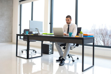Young business man working on laptop in bright modern office with glass walls