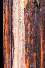 Old wood texture
