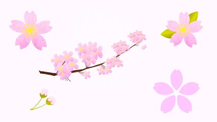 花びら・枝・蕾、桜の素材