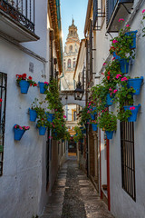 Famous narrow street of Cordoba named Las Flores with a view of the bell tower of the Mosque of Cordoba