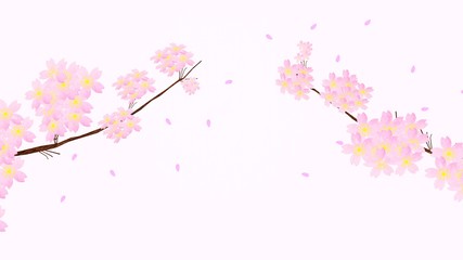 天に伸びる2本の桜と飛び交う花びら