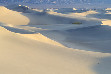Fototapeta na wymiar Desert Sand, Death Valley, California