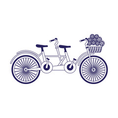 classic double bike with basket with flowers, flat design
