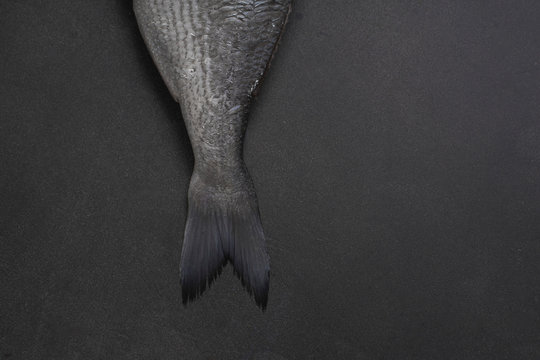Fresh raw dorado fish on dark background