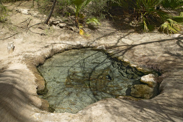 Source of spring water in Agua Canyon, Tucson, AZ