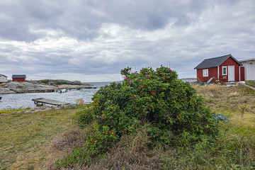 Beautiful Wooden houses in Vrango. Vrango is the southernmost inhabited island in the Southern Gothenburg Archipelago. Sweden.